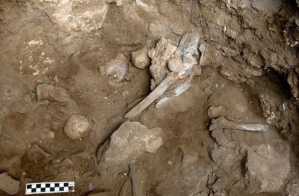 6. Магические кости, найденные в захоронении