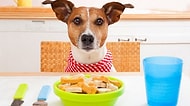 Canımızdan Çok Sevdiğimiz Köpek Dostlarımıza Evde Hazırlayabileceğimiz 11 Mama Tarifi