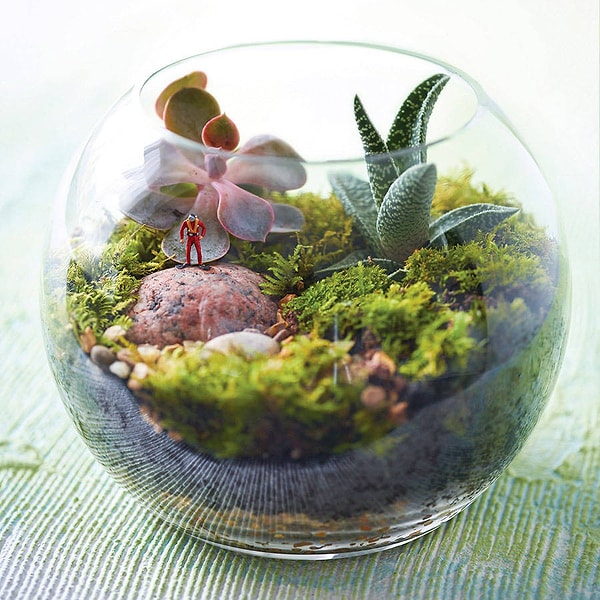 4. Миниатюрный садик