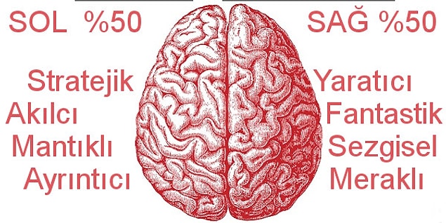 Sol %50, Sağ %50!
