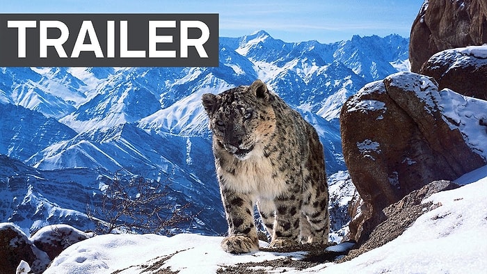 Soluksuz İzleme Garantili Belgesel Serisinin Devamı 'Planet Earth 2'den Fragman Geldi