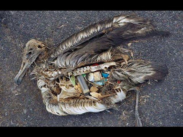 11. Her yıl okyanuslara 6 milyar kg çöp atılıyor. Çoğu da plastik.