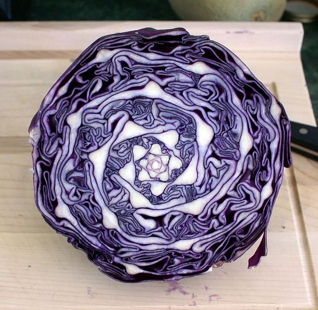 12. Geometry of a red cabbage 😋