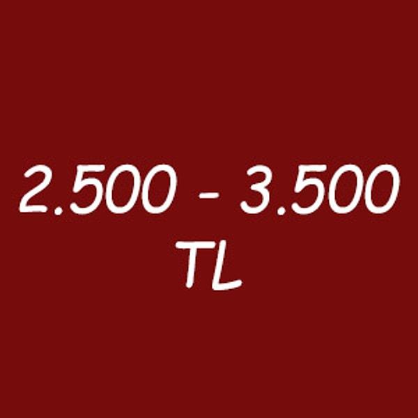 2.500 - 3.500 TL arası!