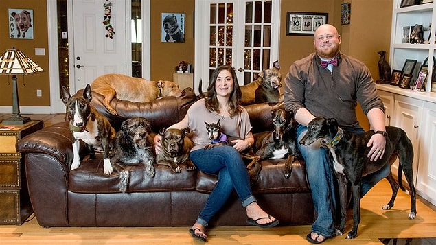 They have eight dogs of their own, and were struggling to get a proper night’s sleep with all of the dogs trying to fit in one bed.