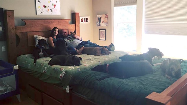 Mabel the elderly Chihuahua, the newest member of the family, is also a part-time bedmate. Being as she's so tiny and delicate, Mabel is later dispatched to a pack-n-play next to the bed, where she won't get smushed during the night.