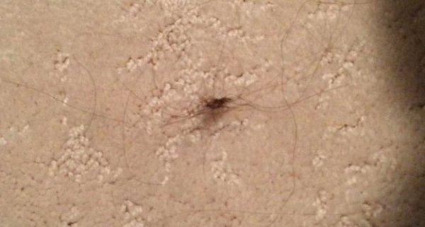 4. Bu dünyada seni en sinir eden şey nedir diye sorsalar, bence çamaşırlarımızın arasından çıkan örümceğe benzer saç kılları demek olur...