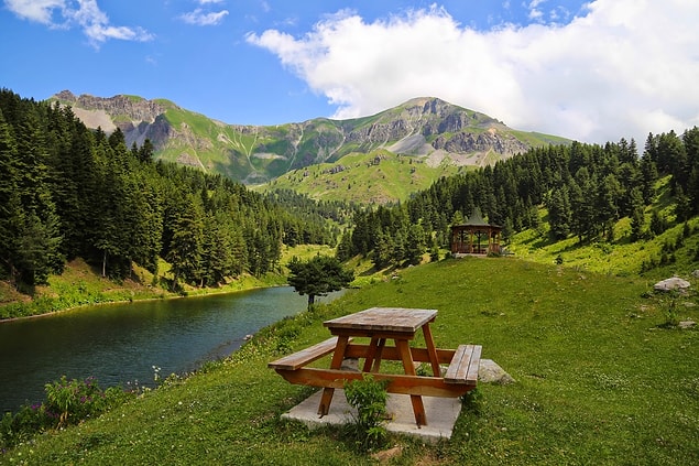 13. Sağlık dolu Artvin Yaylası