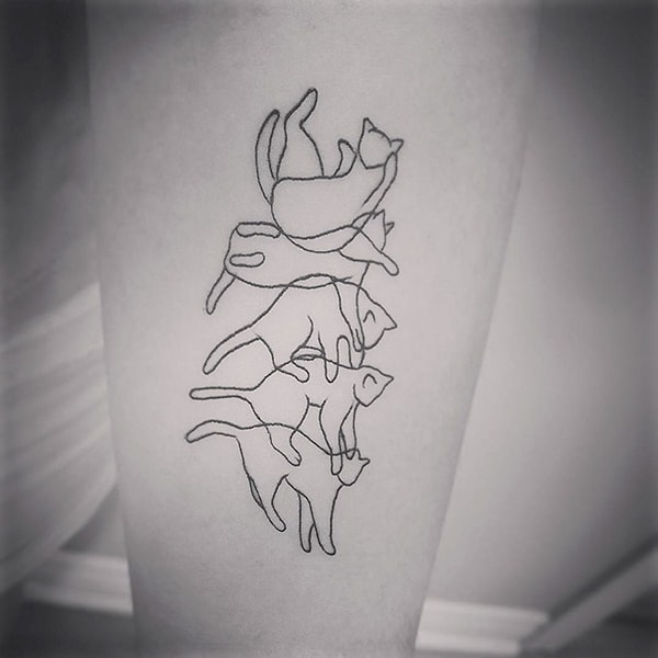 19. Целая куча мала семейства кошачьих