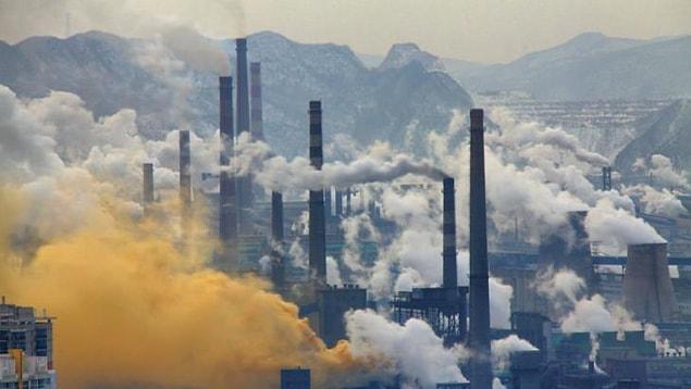 20. Studies show that 1 out of 8 deaths around the world is caused by air pollution.