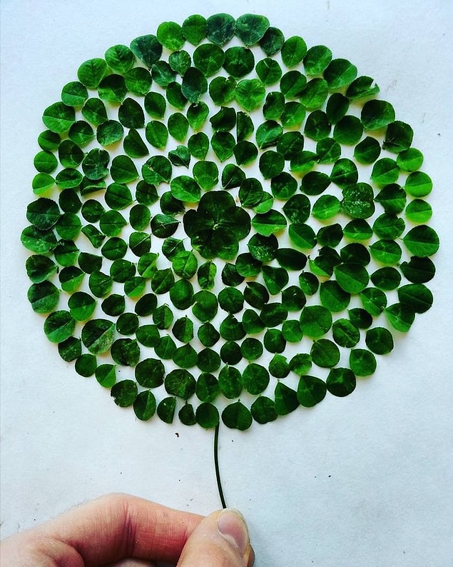 15.