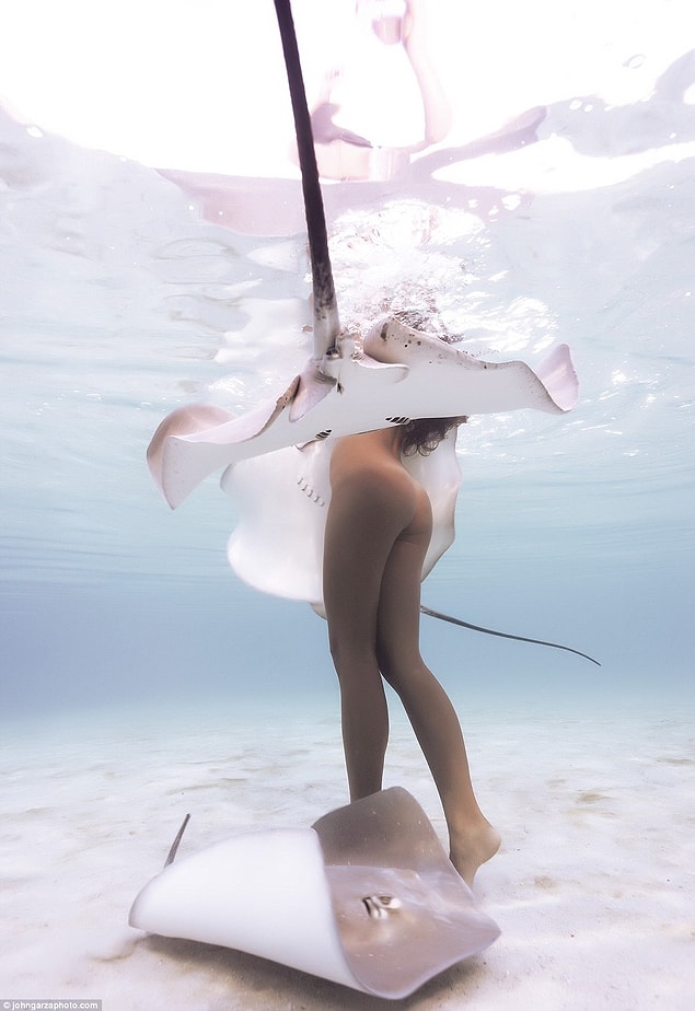 Ray, who confessed to having been bitten by a stingray before, also added that it was just an accident, and that it wasn't an attack with a barb.