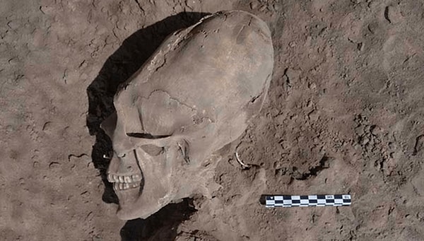 4. Мексиканские черепа