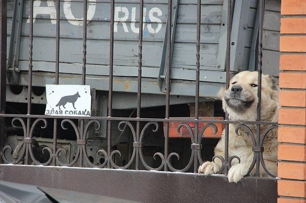 3. Ага, очень злая