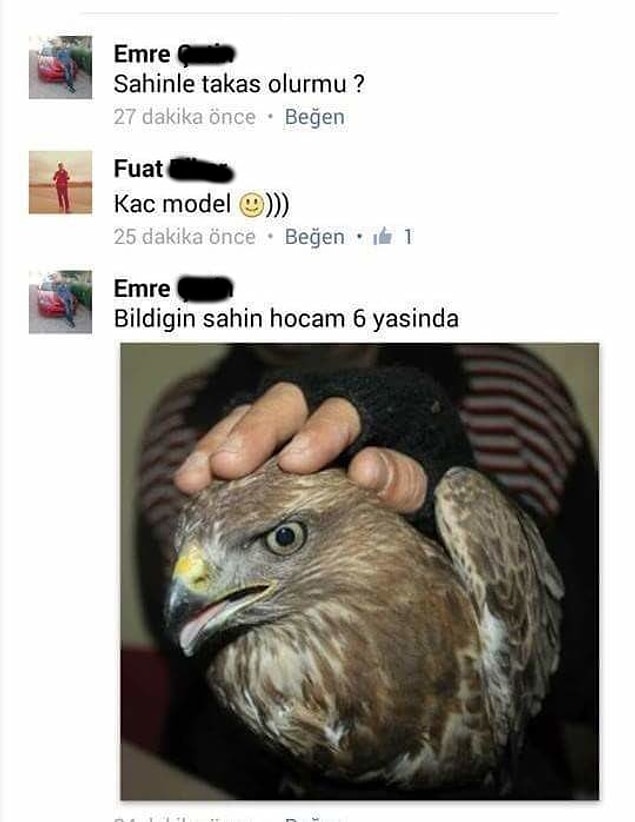 15. O şahini nereden buldun acaba?