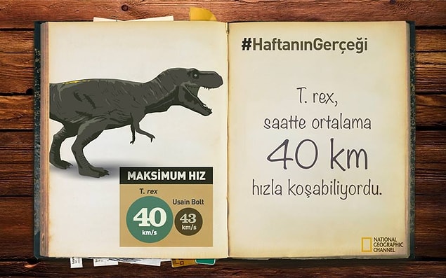 20.