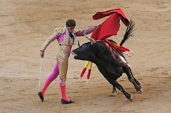 İspanyol matador Mario Palacios, bir Aguadulce boğası ile Madrid'deki Las Ventas arenada karşı karşıya.
