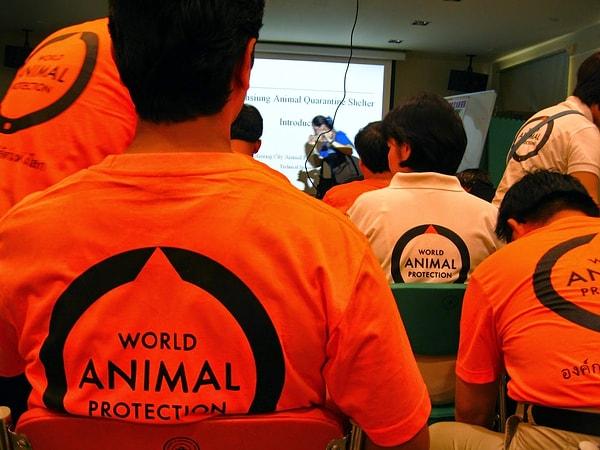 Dünya Hayvanları Koruma (The World Animal Protection) birliği bu kararı 'şoke edici' bulduğunu belirtti ve ekledi: 'Kültürel miras bir hayvana yapılan işkenceye ve kabul edilemez seviyelerde acı çektirmeye dayanan bir hareketi meşrulaştırmaz.'