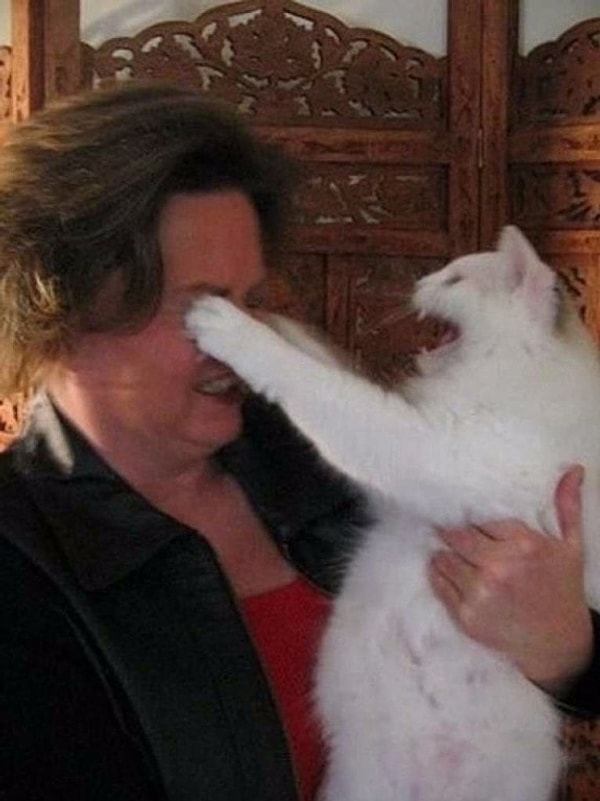 3. Правда глаза колет.