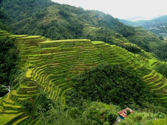 9. Banaue Pirinç Terasları - Filipinler