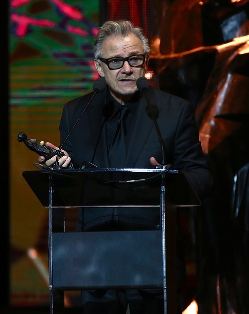 Yaşam boyu onur ödülleri