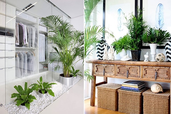 7. Наполните дом живыми растениями