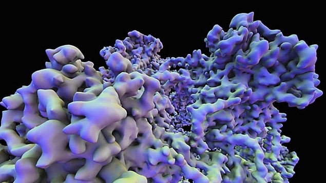 HPV sadece kadınlarda hastalıklara sebep olmuyor: Evet, erkekler genelde sadece HPV taşıyıcısı olsalar da, onlar da siğil ve kansere yakalanabiliyor.