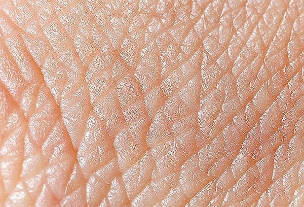 5. İnsan derisi, ortalama bir yaşam süresinde 900 kez kendini tamamen yenilemektedir.