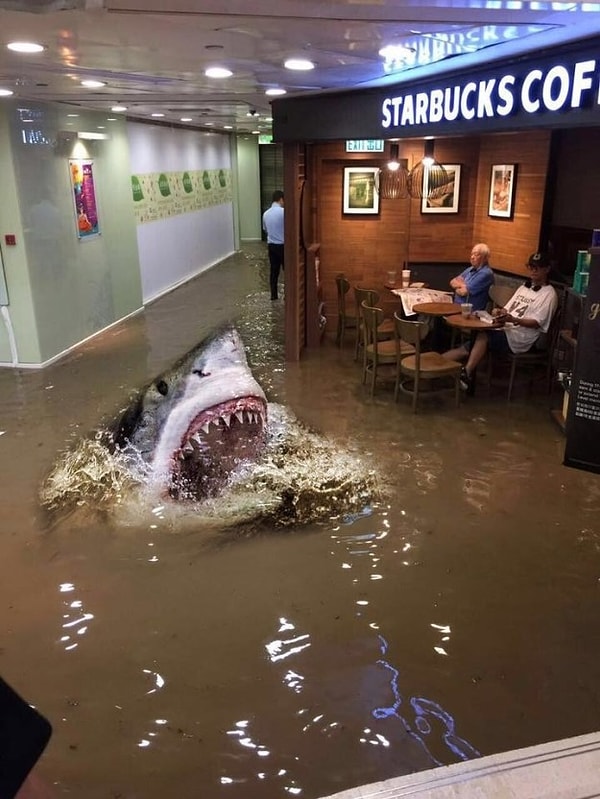 9. Просто шикарно!