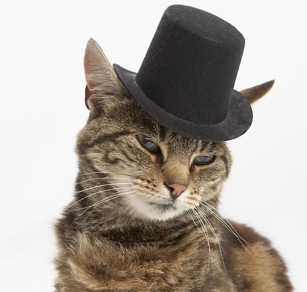 Что-нибудь с цилиндром