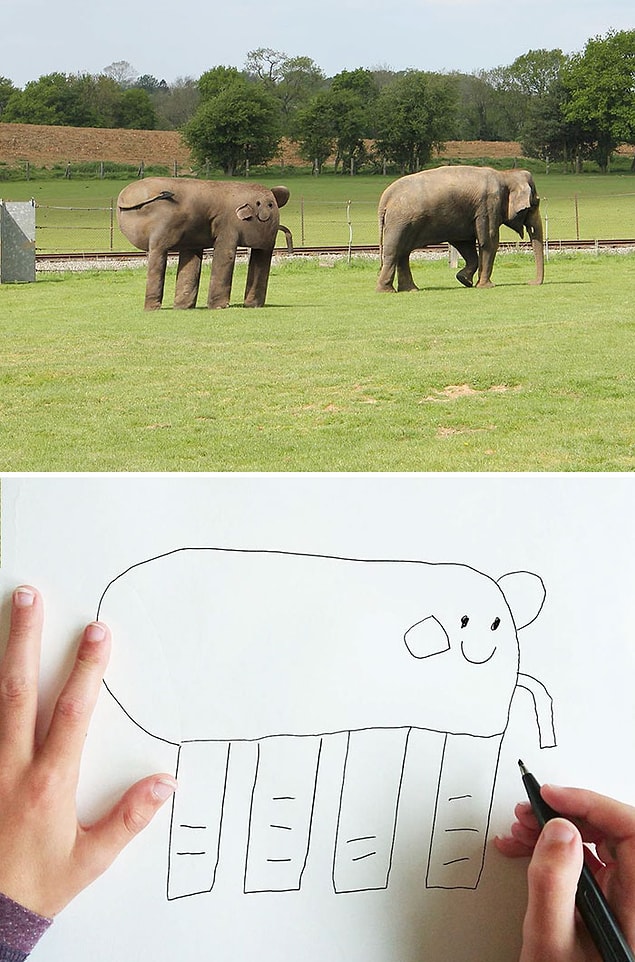 5. 🐘
