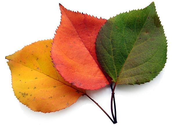 5. Изменения