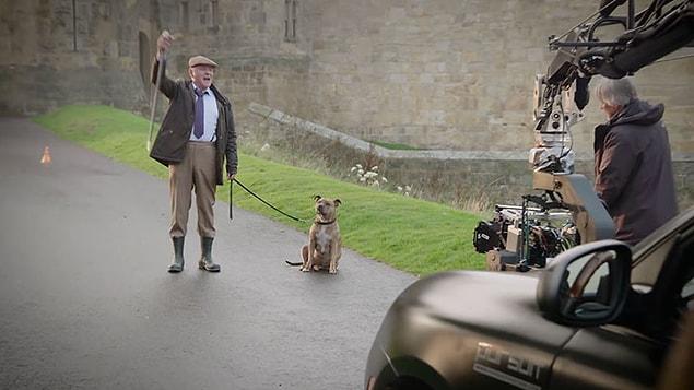 When film director Michael Bay read an article about the pooch, he decided to help.