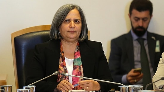Gültan Kışanak Terör Soruşturması Kapsamında Gözaltına Alındı