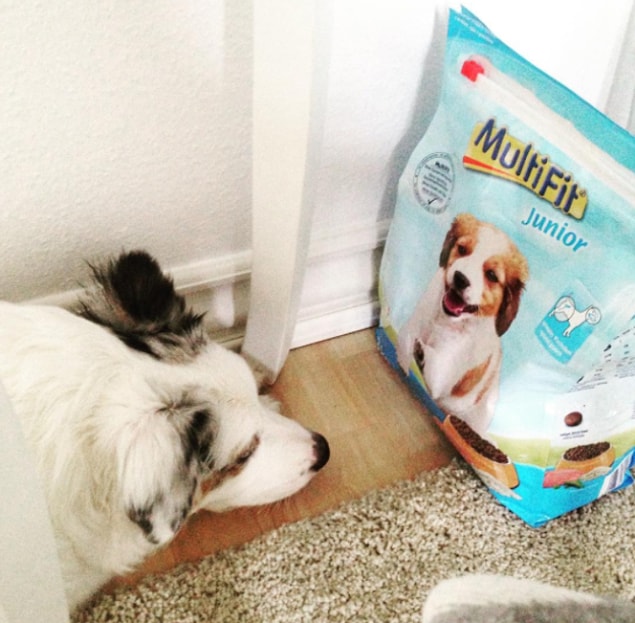 12. Köpeğiniz kaliteli bir mamayla dengeli besleniyorsa ekstra vitamin vb. ihtiyacınız yok.