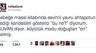 Güldüğün Tweetlere Göre Beyninin Hangi Tarafını Kullanıyorsun?