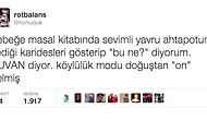 Güldüğün Tweetlere Göre Beyninin Hangi Tarafını Kullanıyorsun?