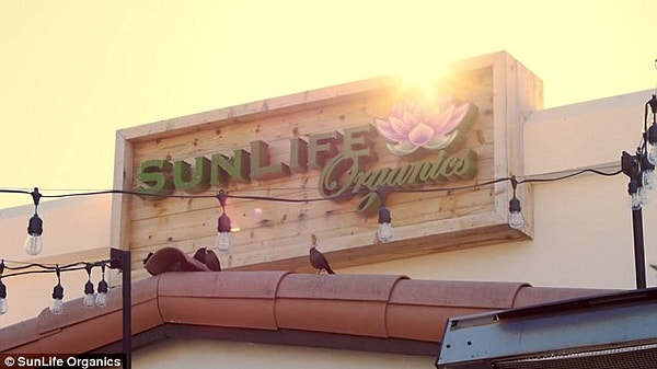 11. Весь Малибу был в восторге от нового продукта! Парню оставалось только найти подходящее имя для своего бренда. Что он и сделал. На свет появился SunLife Organics.