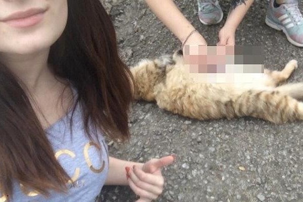 1. Уже некоторое время ведется следствие по делу «живодерок из Хабаровска».