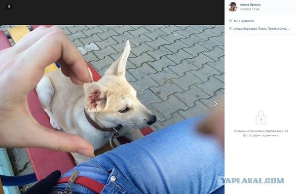 3. Одна из девушек сперва проходила как свидетельница по делу, но позже, когда она попыталась скрыться, улетев в Петербург, полиция арестовала ее во время пересадки в Новосибирске.