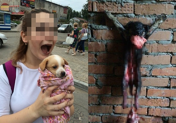 4. Сейчас девушки находятся под домашним арестом.