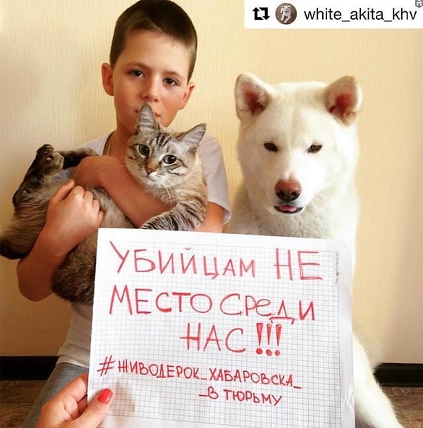 14. Также к всеобщей волне присоединились некоторые звезды.