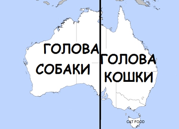10. Если разделить карту Автралии пополам, то одна половинка будет похожа на голову собаки, а другая - на голову кошки