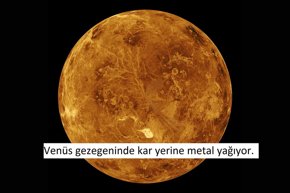 Adını Eski Yunan Mitolojisi'ndeki Afrodit'ten Alan Venüs Hakkında 13 Enteresan Bilgi
