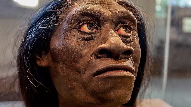 Afrikalı insanlar üzerinde yapılan çalışmalar, kıta insanının Avrupalı ve Asyalılardan daha karmaşık genetik yapıya sahip olduğunu gösteriyor.