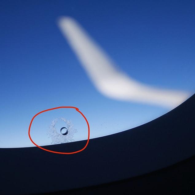 2. Ever notice the little holes in the windows of airplanes?