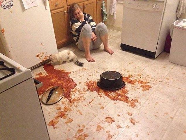 8. When your cat isn't shy about knocking everything down, including your dinner...