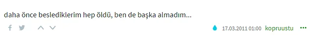 "Neden Sevgilin Yok?" Sorusuna Verilmiş Birbirinden Bombastik 25 Cevap