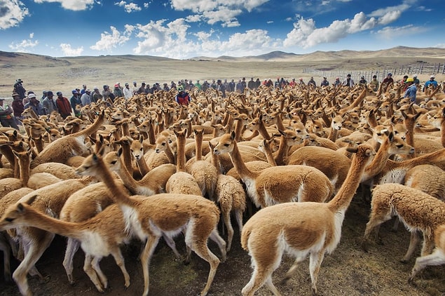 5. Güney Peru
