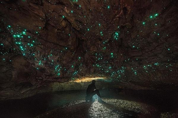 16. Waitomo Mağaraları, Yeni Zelanda